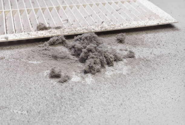 Best Air Duct Sanitizing Services  in Oak Ridge, TN